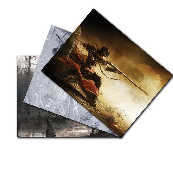 Essentials - Assassin's Creed Liberation - Set of 3 - Assassin's Creed art - Premium Poster