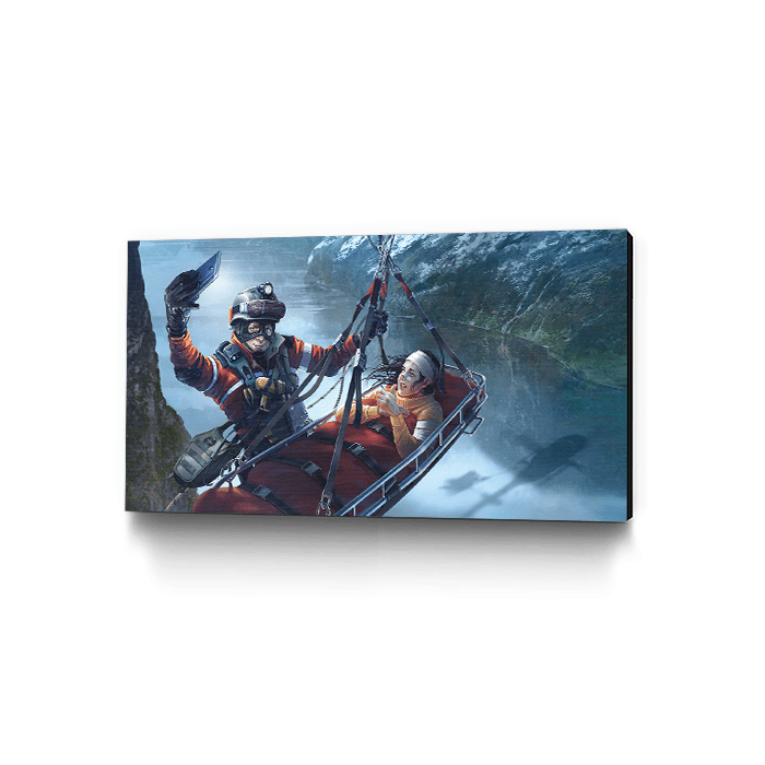 Heroic Ace - Six Siege art - Museum Canvas